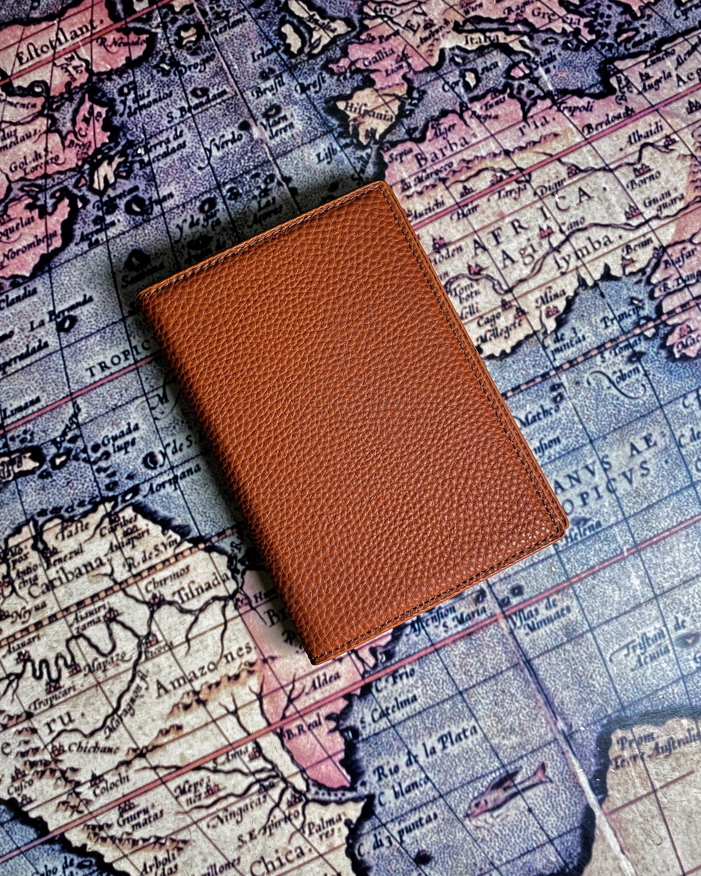 Camel passport holder