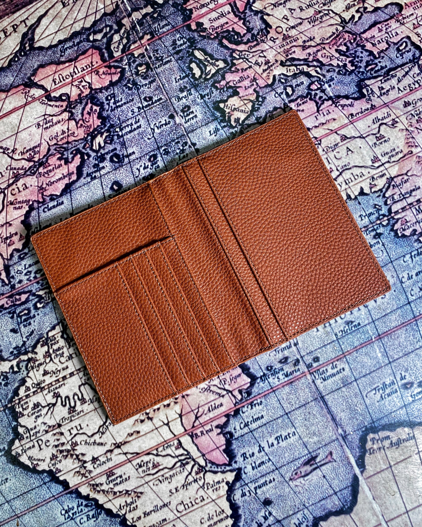 Camel passport holder