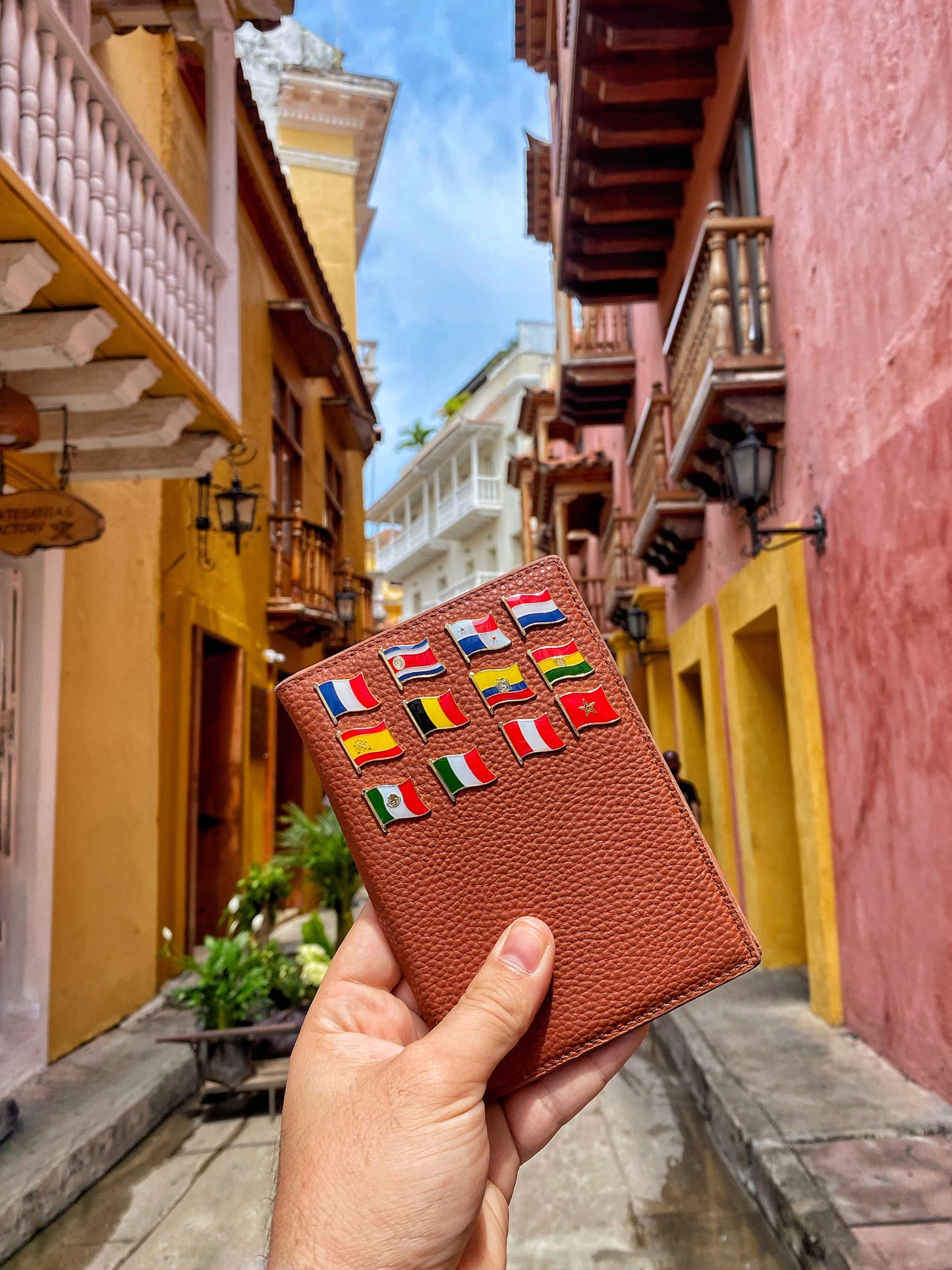 Camel passport holder