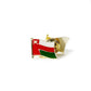 Oman Pin